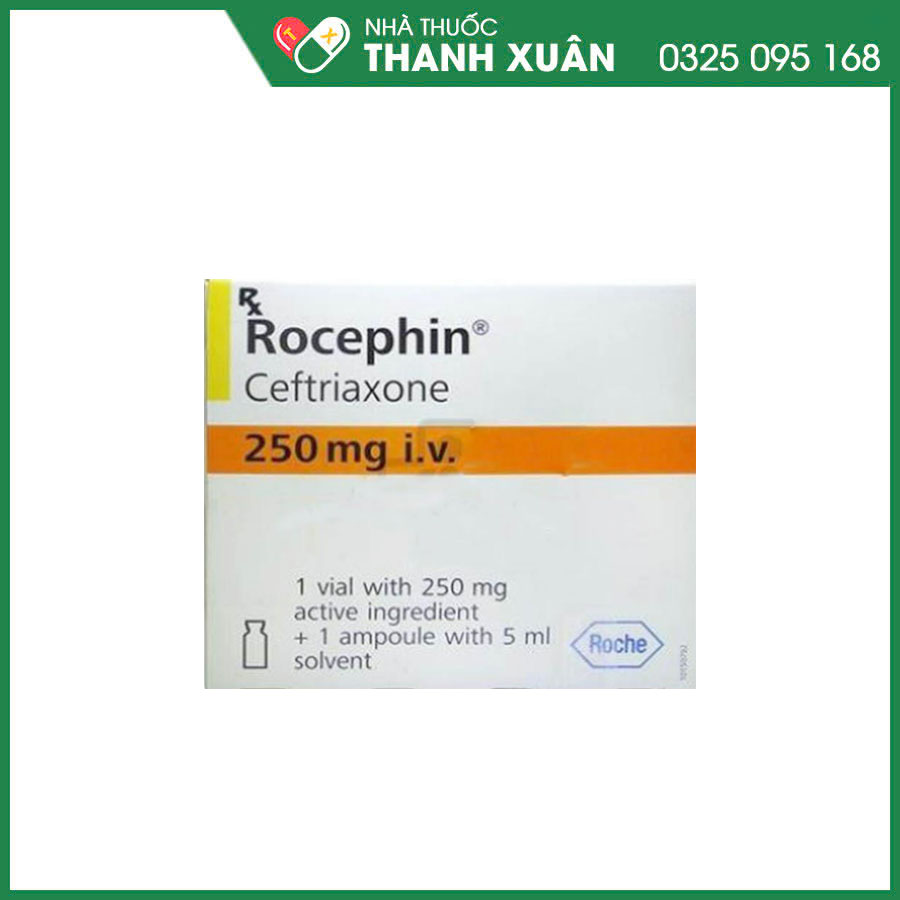 Rocephin 250mg i.v thuốc điều trị nhiễm trùng do các mầm bệnh nhạy cảm và dự phòng các nhiễm trùng trong phẫu thuật